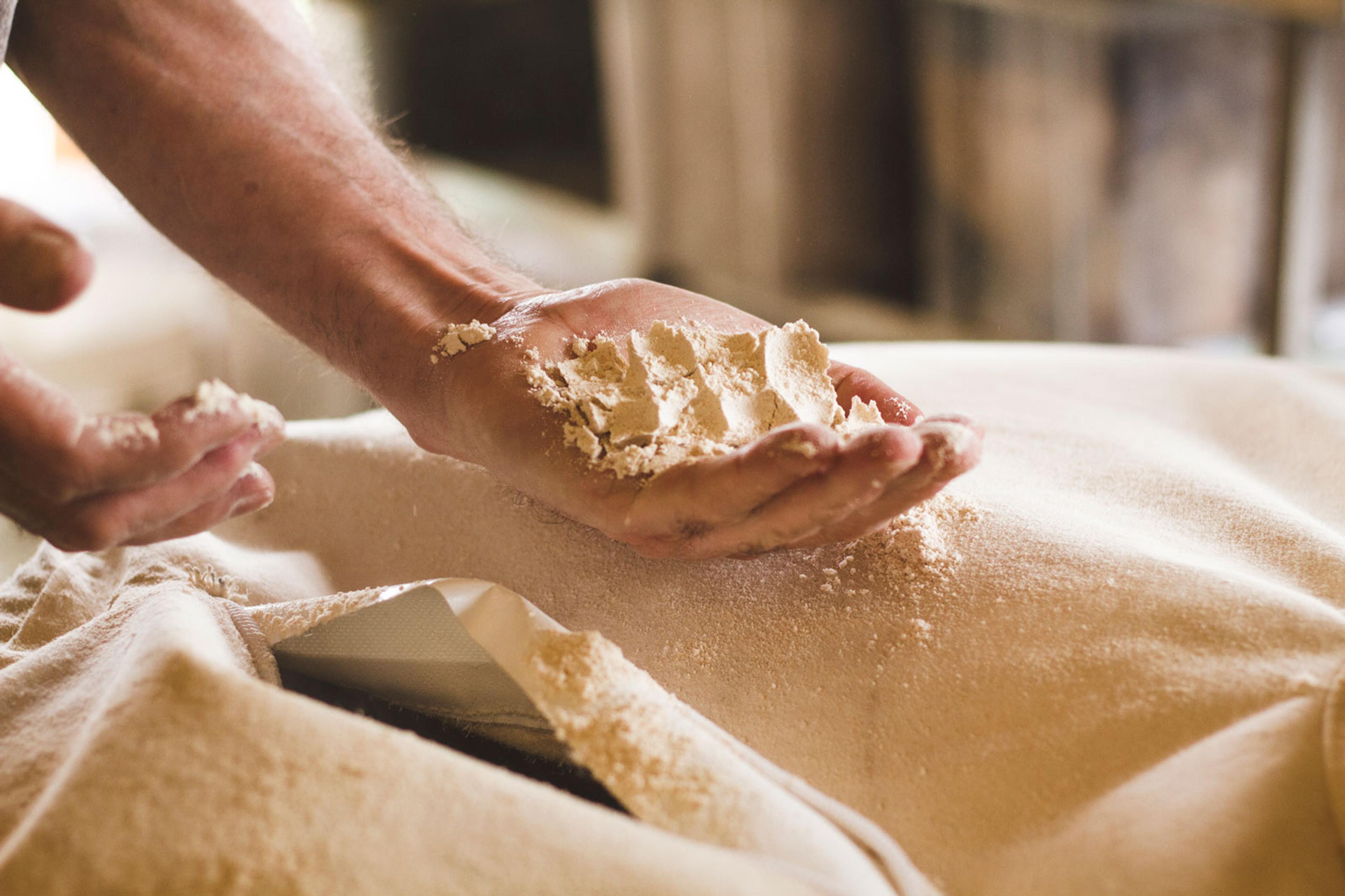 A handful of milled flour.