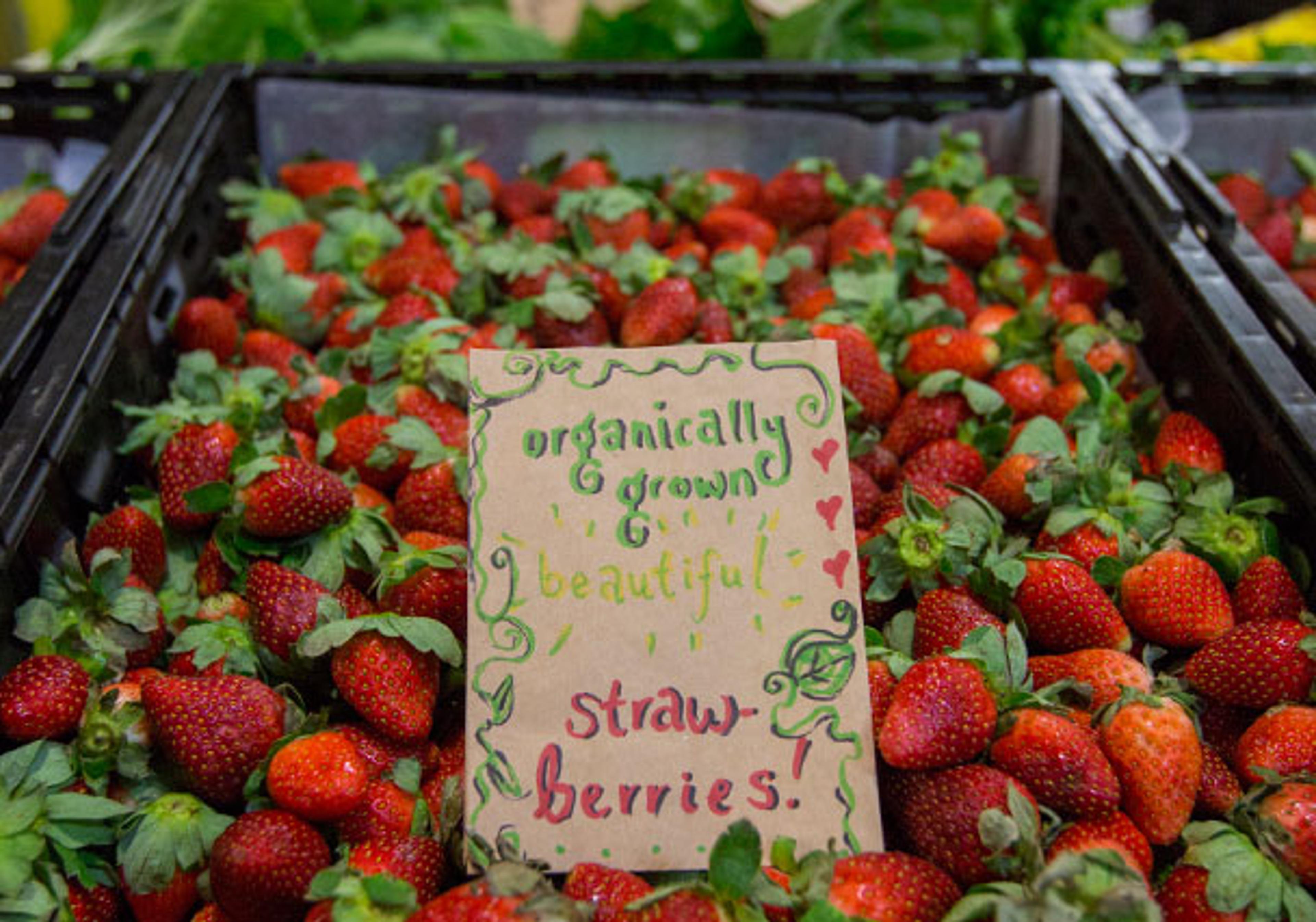 A tub of strawberries with a colourful, hand written cardboard sign in the middle that says "organically grown, beautiful strawberries!"