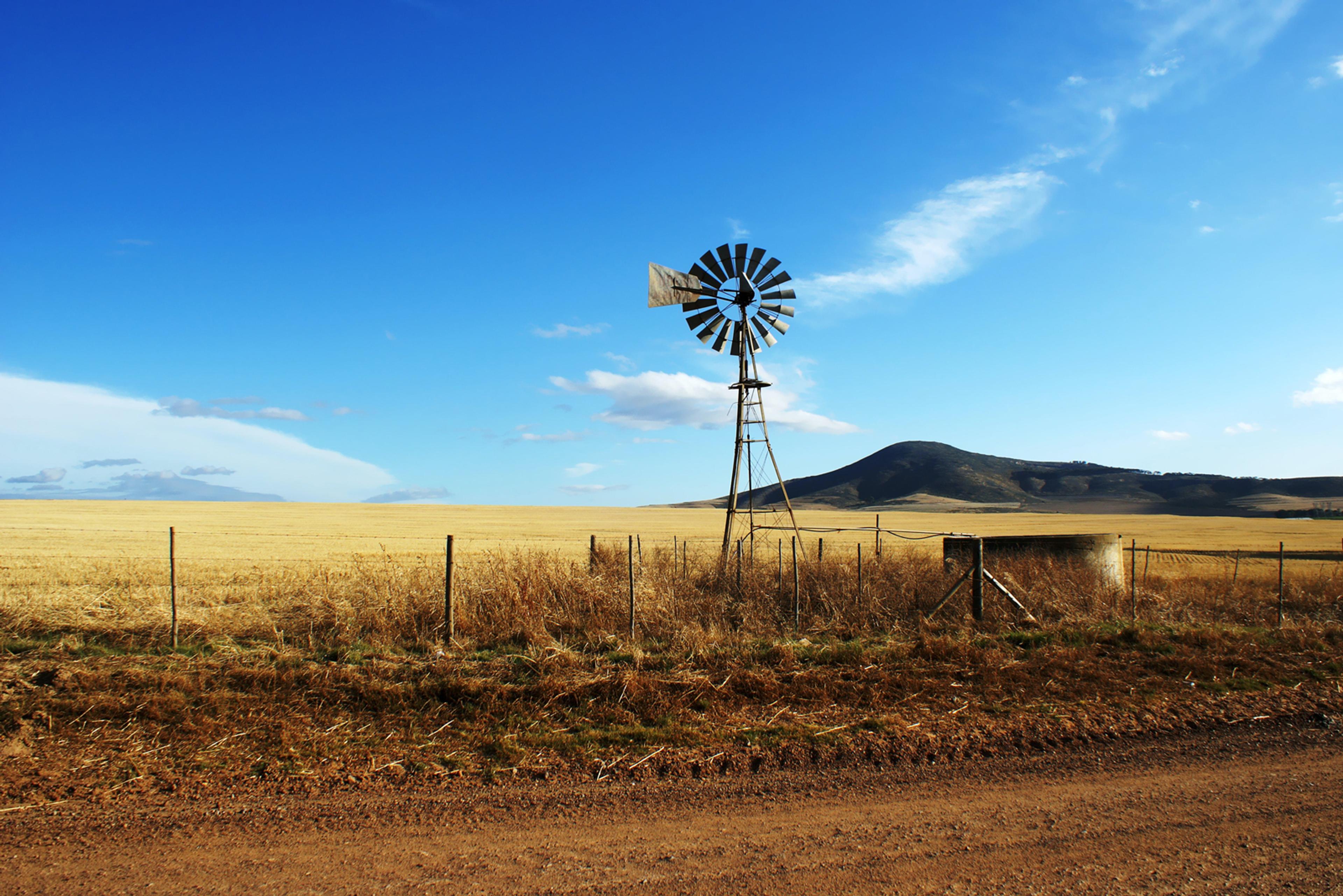A yellow paddock with a windmill in it. Blue skies overhead. A small hill in the background.