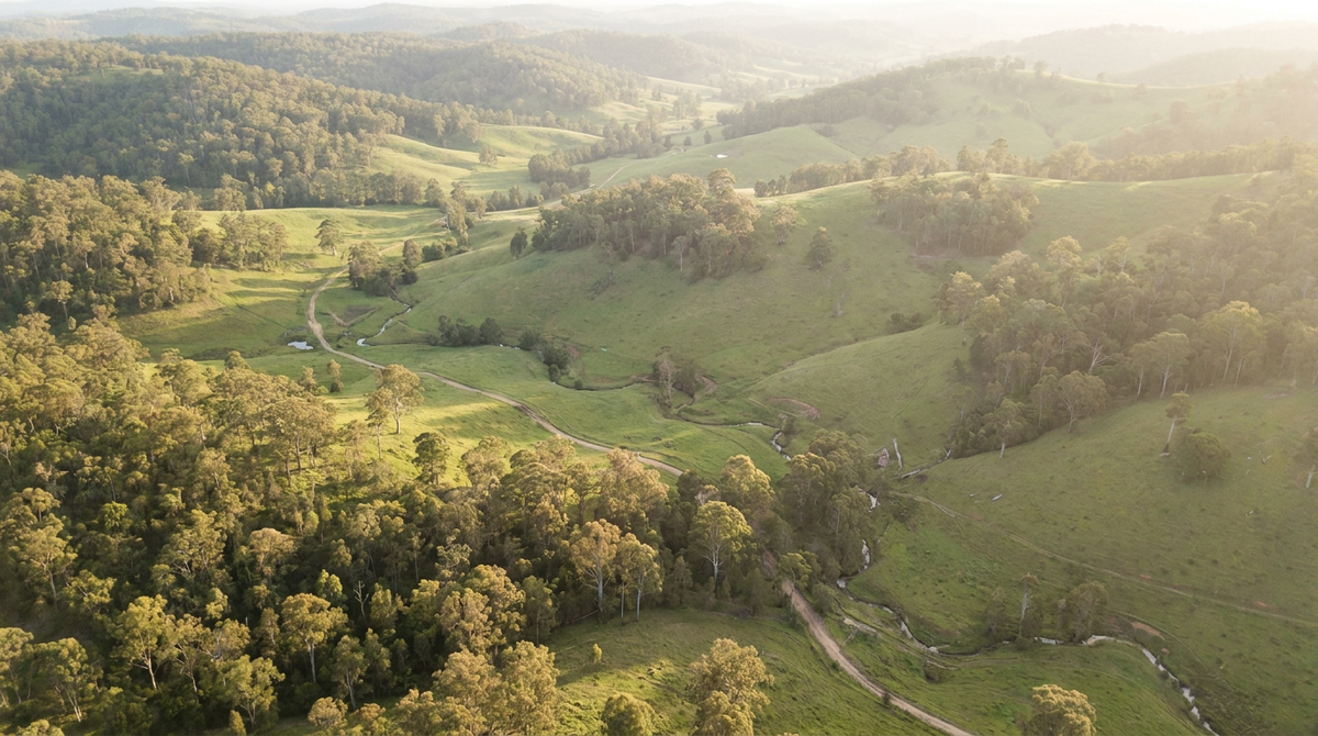 Australian native bushland