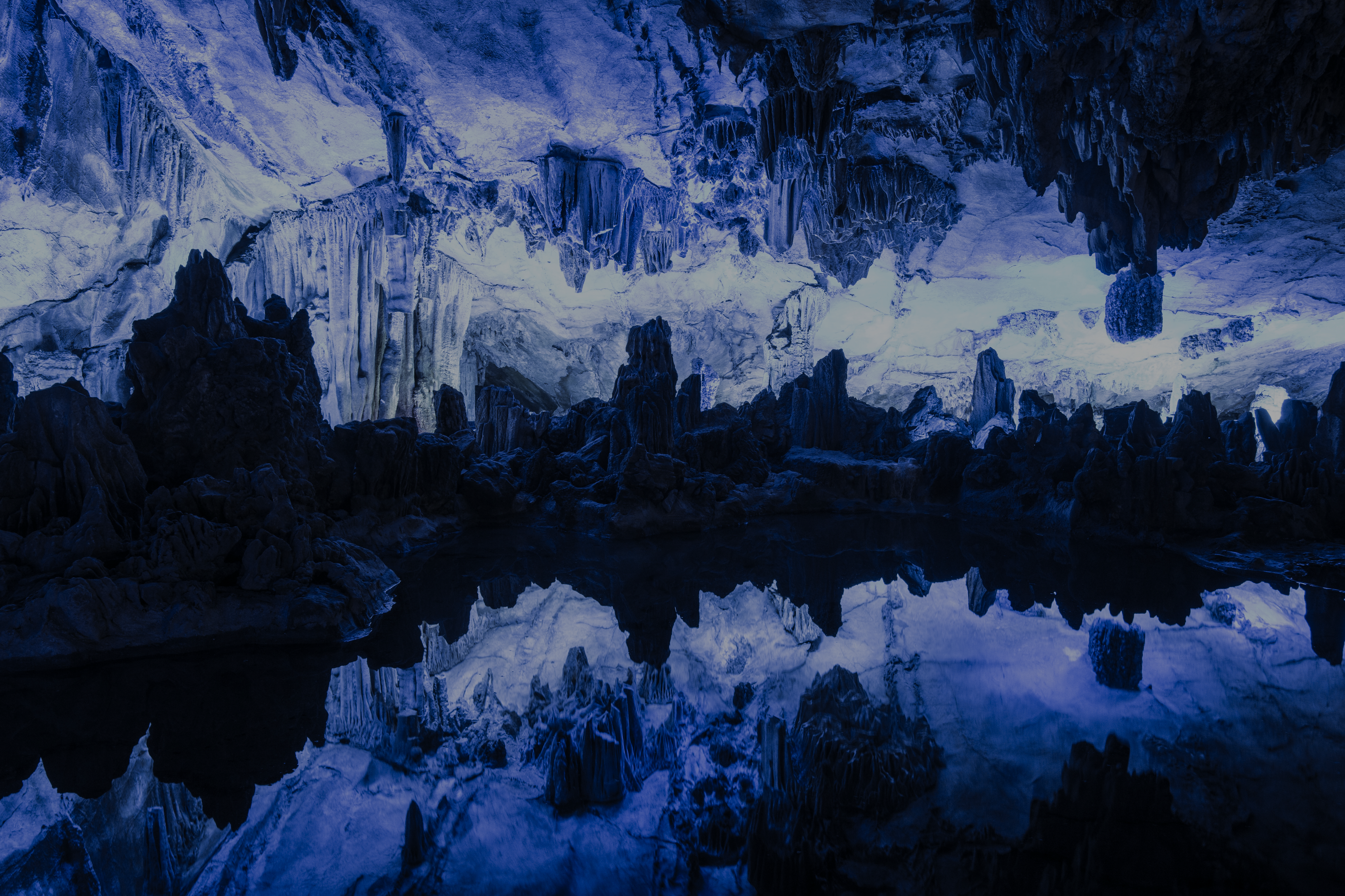 Image for Born out of Fire