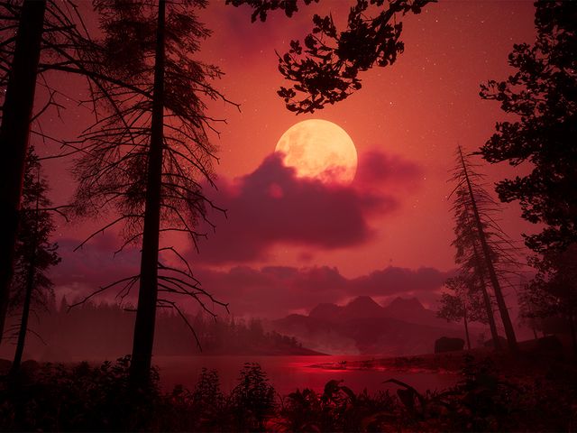 Image for The Red Lake