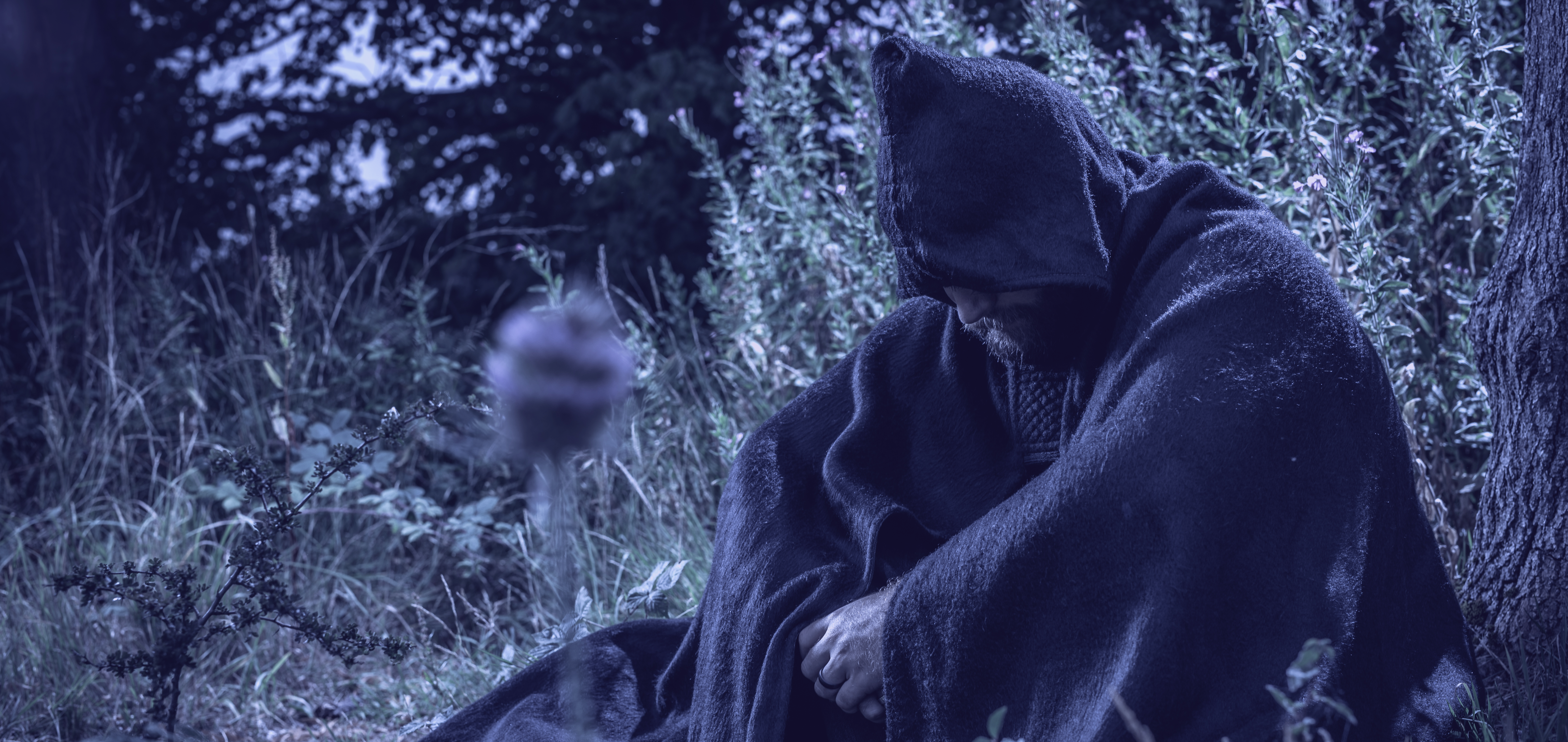 Image for The Grey Order