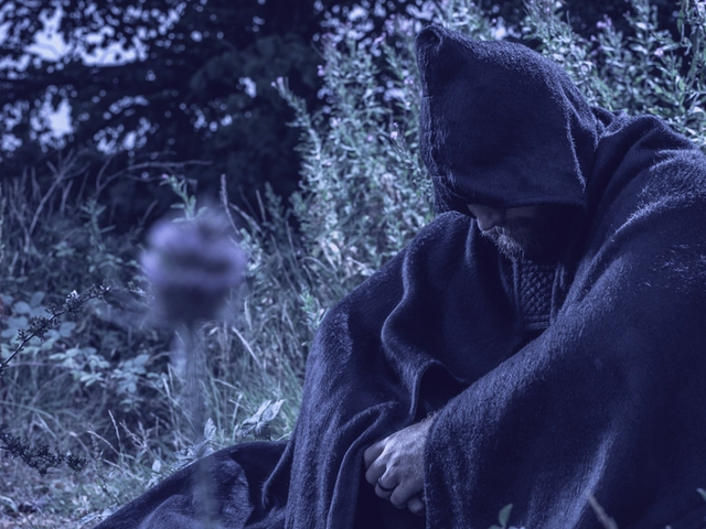 Image for The Grey Order