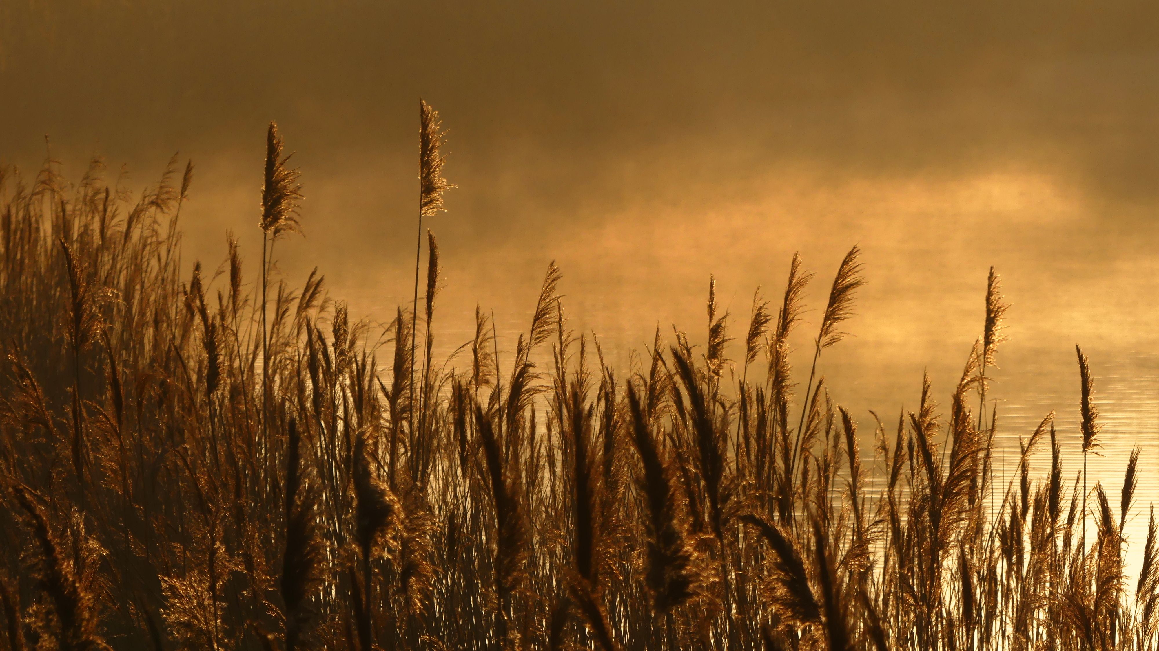 Image for The Origin Story