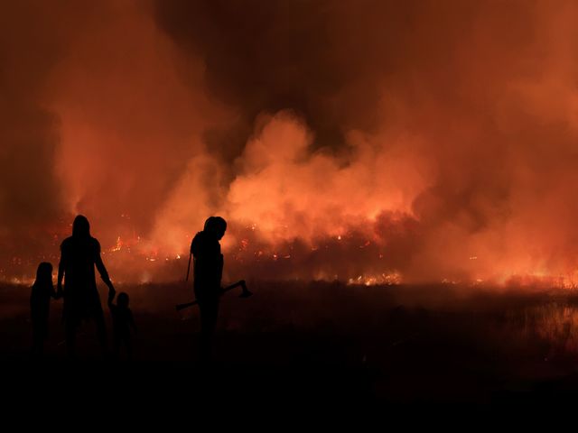 Image for The wrath of Teriyas