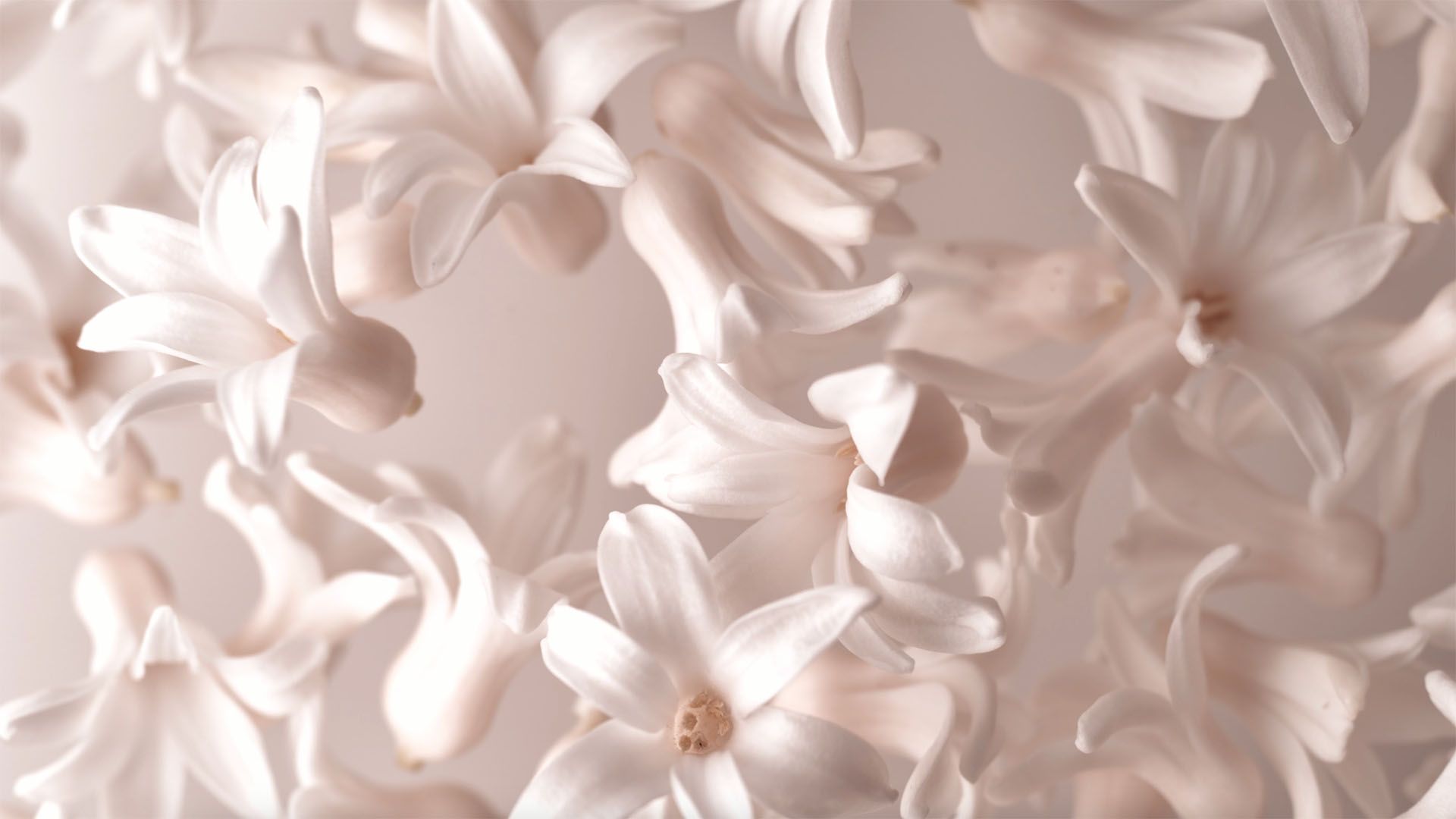 Vita blommor