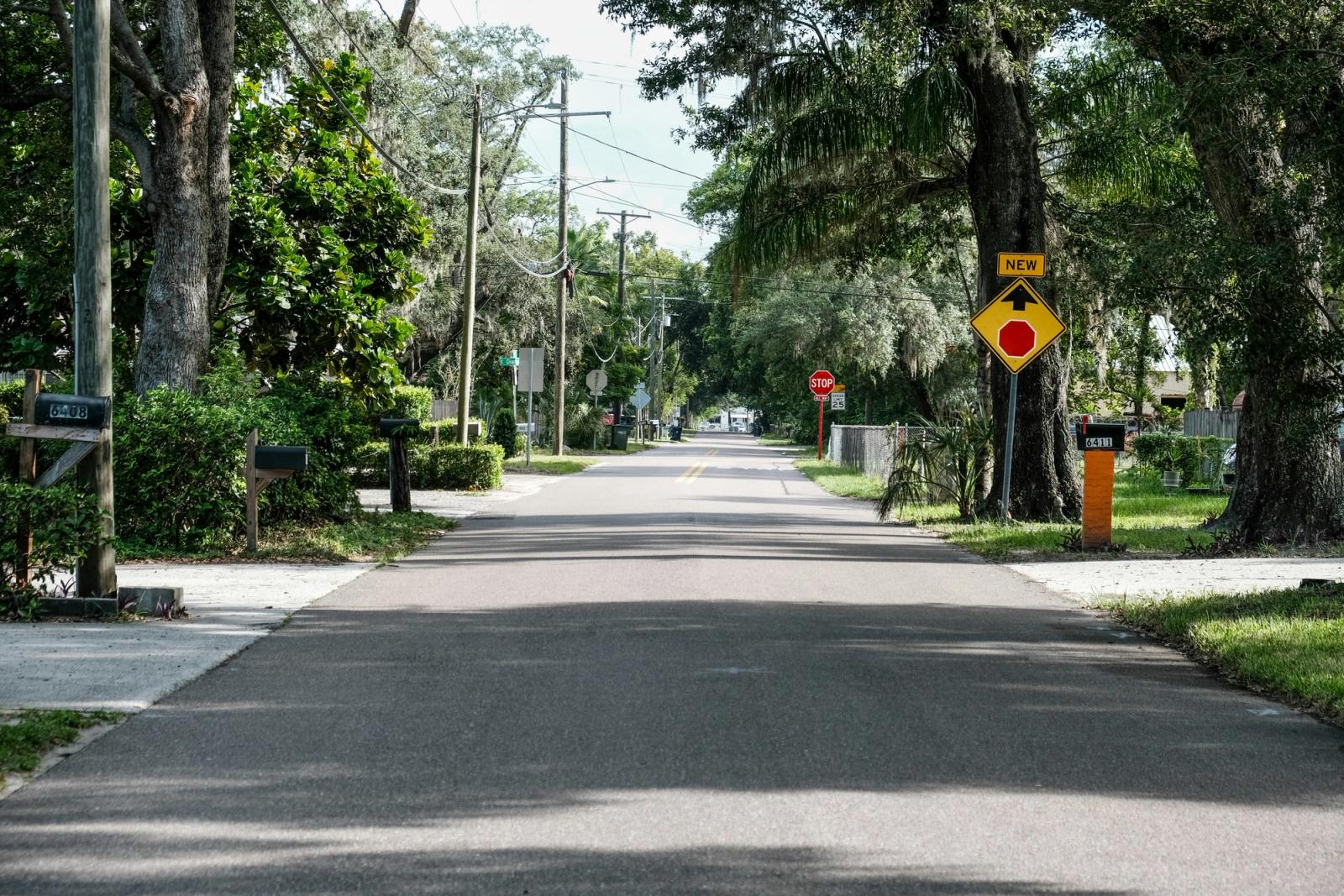 A quiet tree-lined street of homes in a Birmingham neighborhood, sidewalks and mailboxes in morning light
