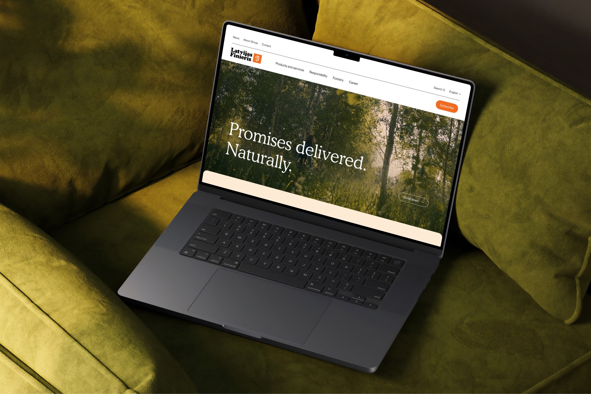 Latvijas Finieris — project visual 1