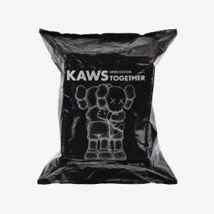 Together vinyl figure by Kaws