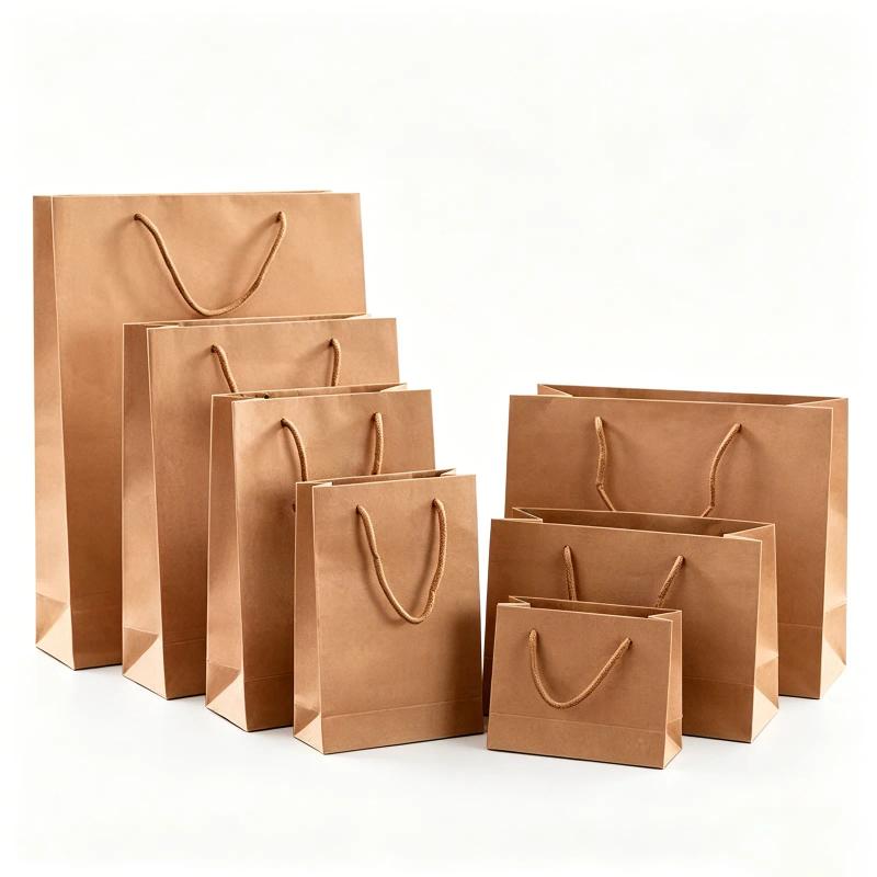 Handle bags reference 1