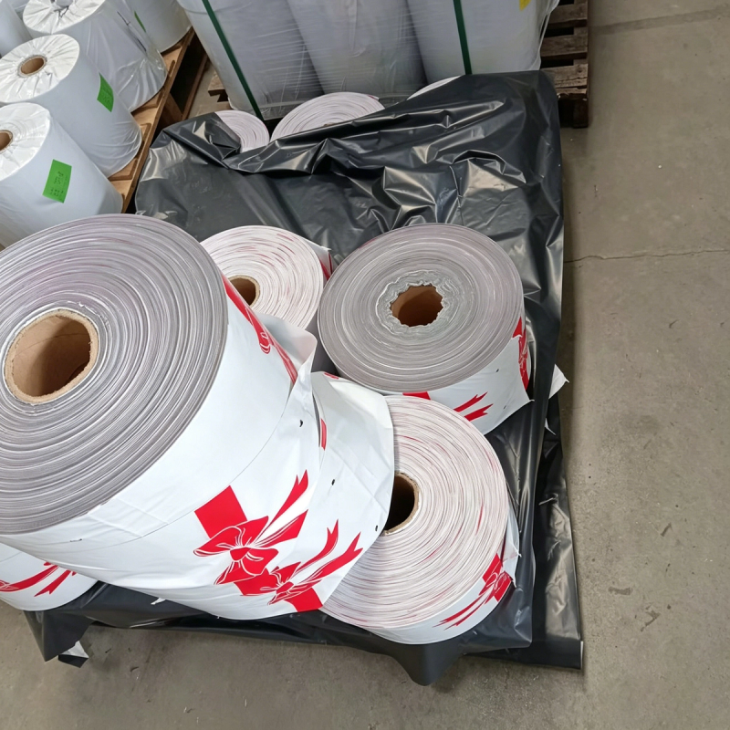 Poly mailers variant 15