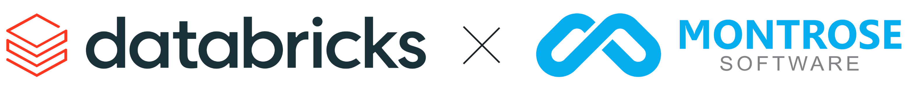 Databrics and Montrosw Software logotypes
