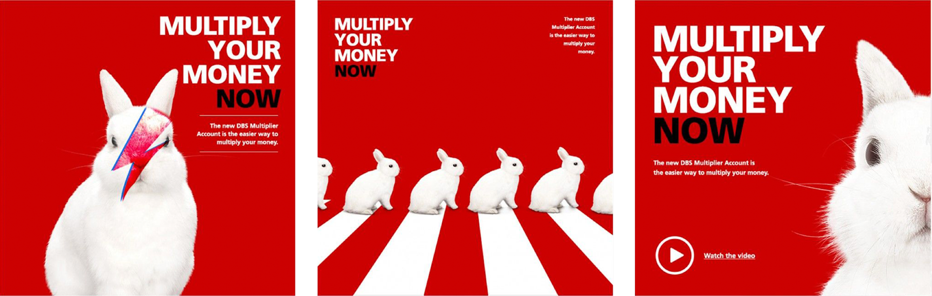 DBS, MULTIPLYING YOUR MONEY
