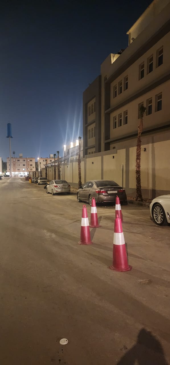 نخيل - 13