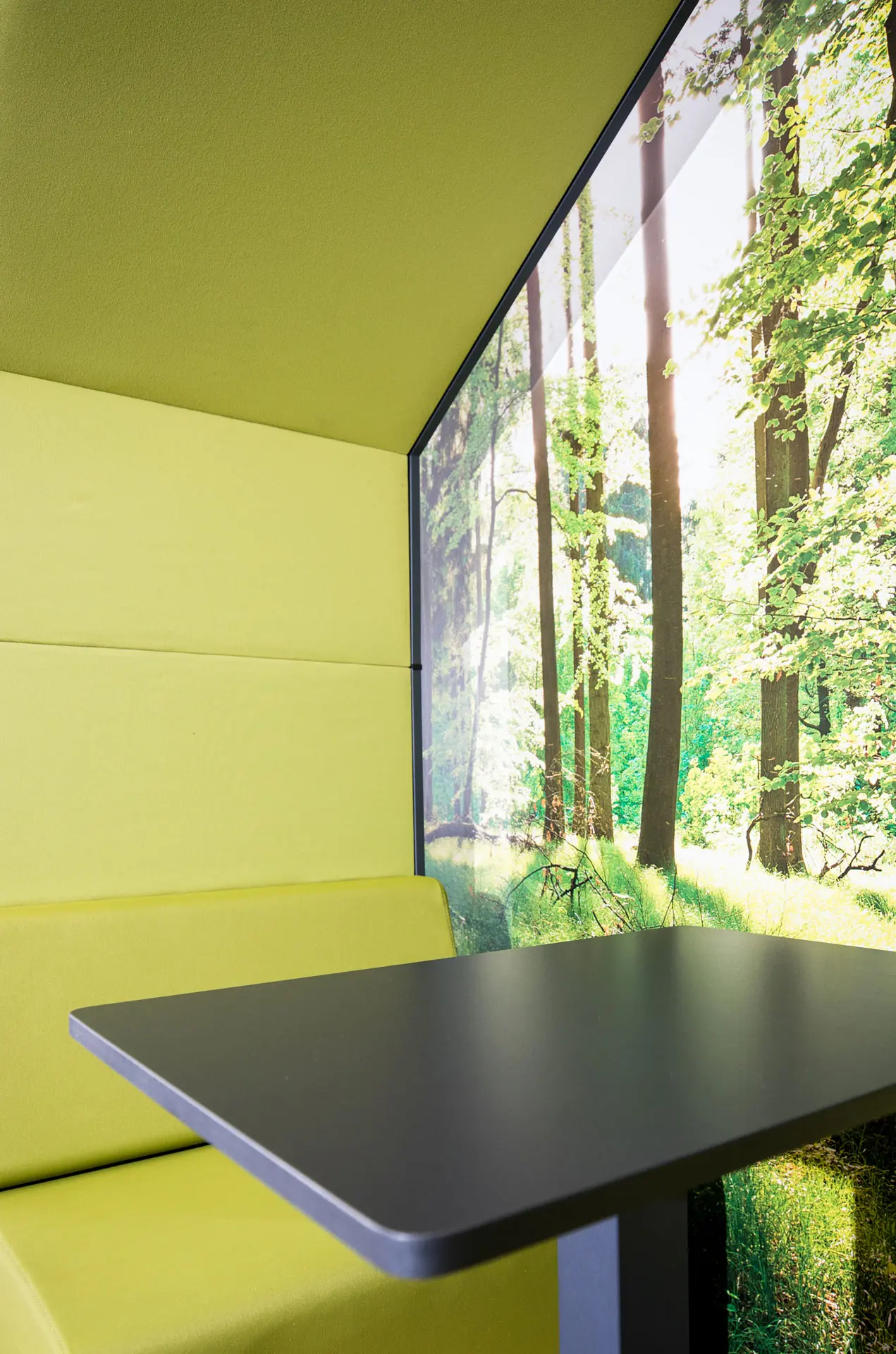 Nahaufnahme Rückzugsbereich in grün