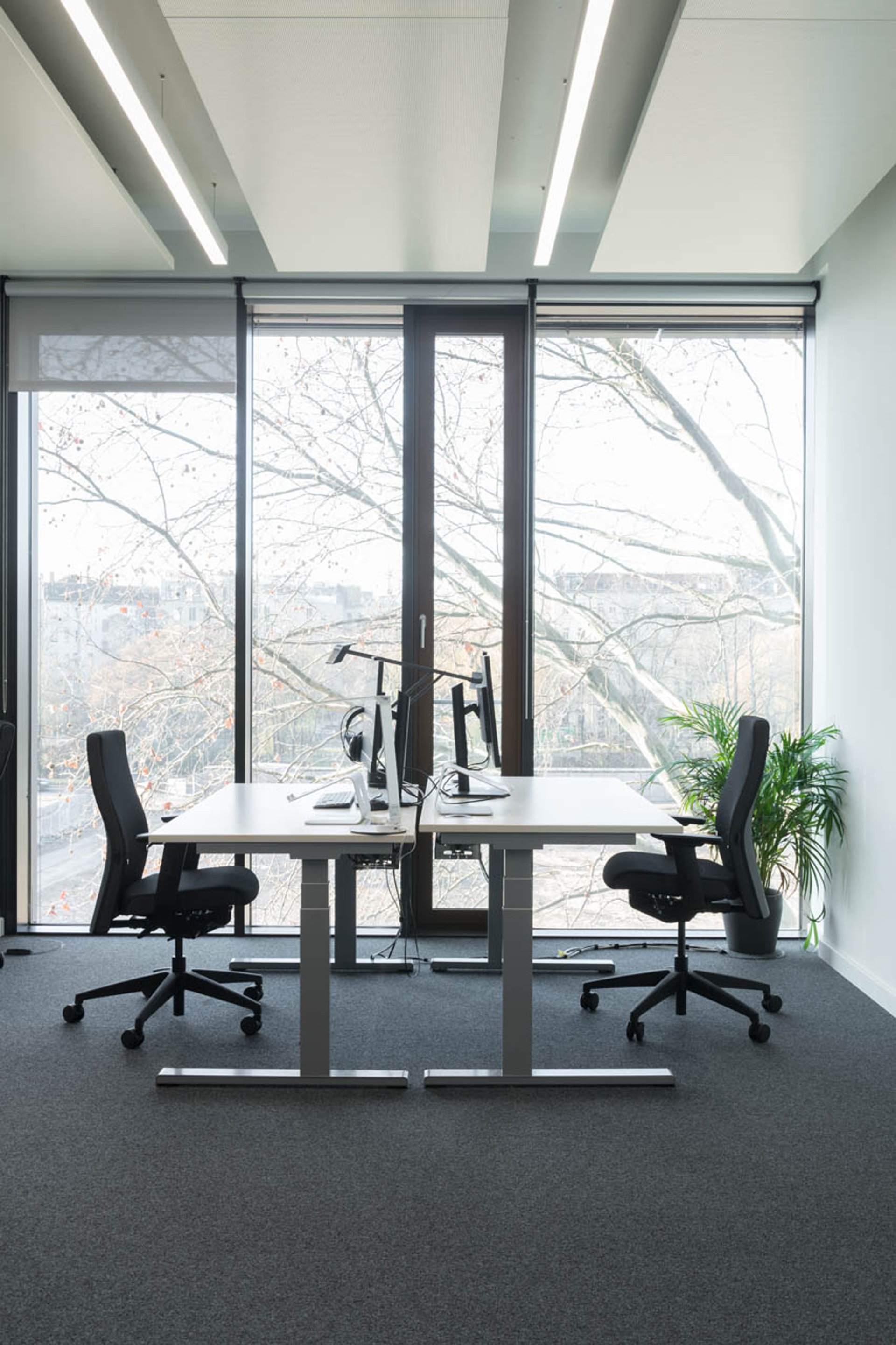 Arbeitsplatz DIE ZEIT Online GmbH