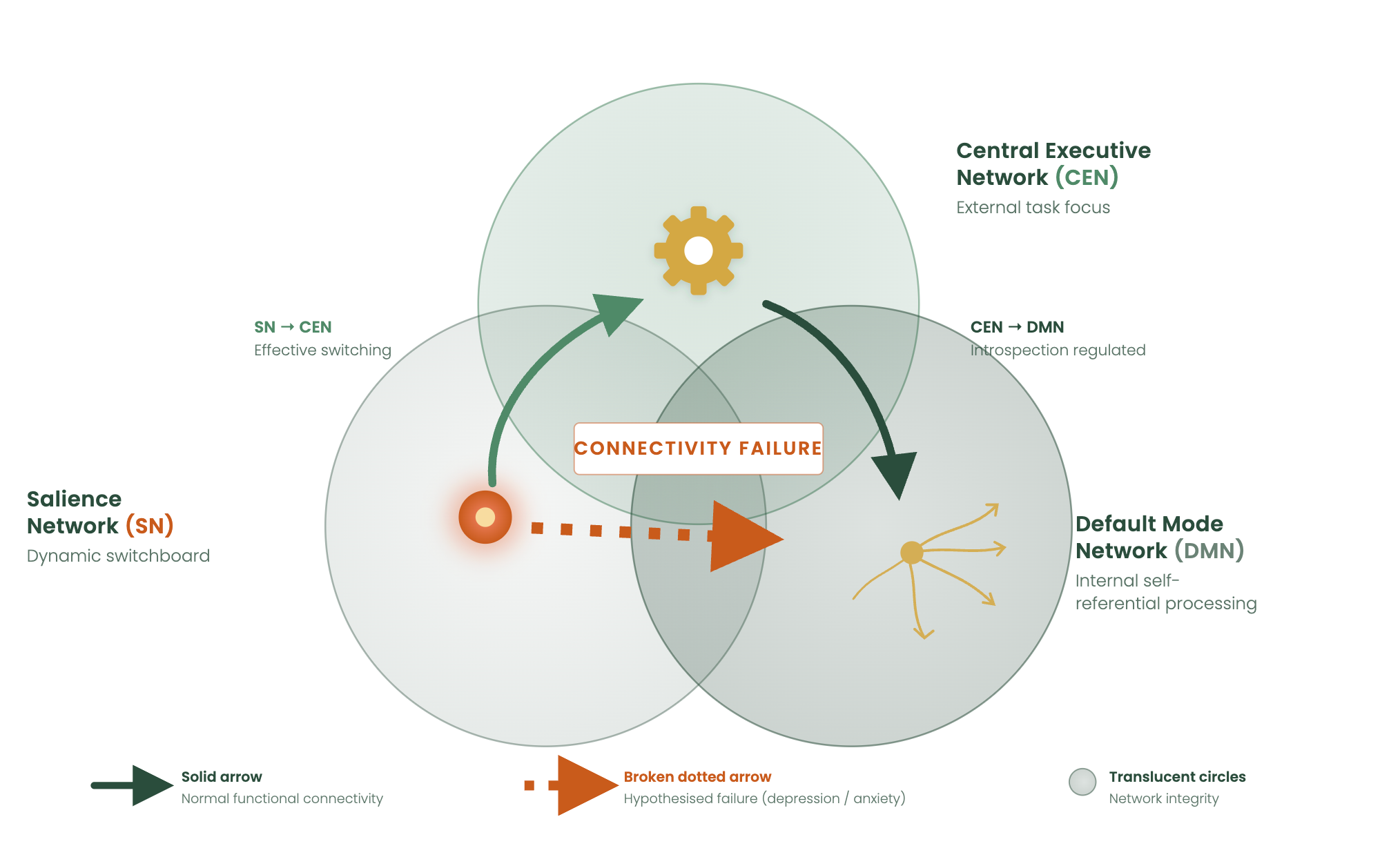A clinical vector infographic mapping the Triple Network Model of psychopathology on a white background, displaying overlapping functional connectivity networks including the Default Mode Network (DMN), Salience Network (SN), and Central Executive Network (CEN)