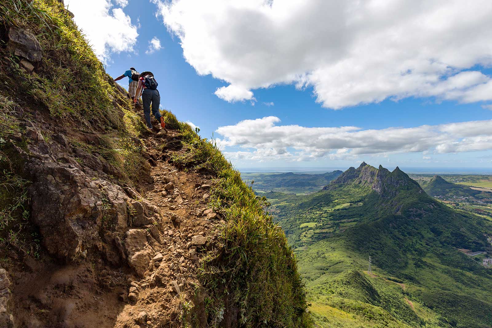 Hikers on a narrow uphill trail surrounded by lush scenery.