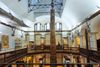 Museum of Anthropology and Archaeology