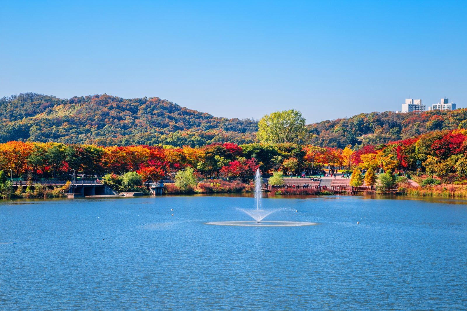 인천대공원