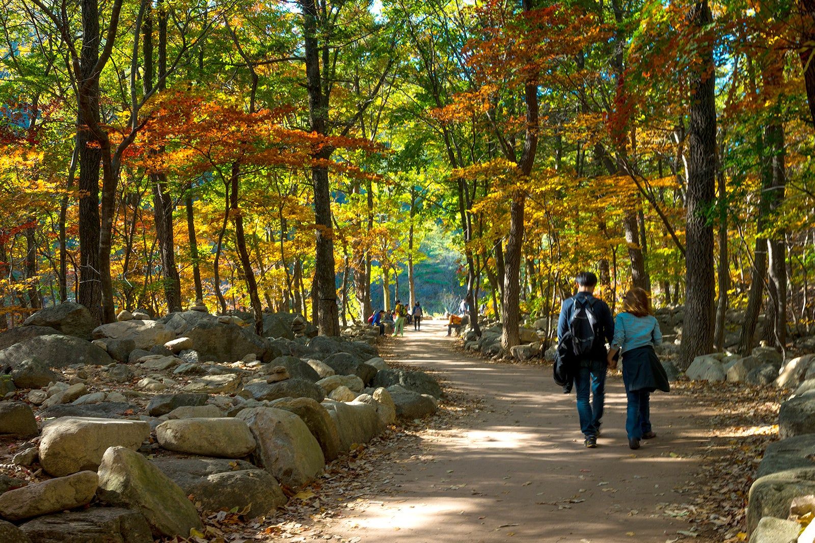 7 Best Things to Do in Sokcho on a small budget