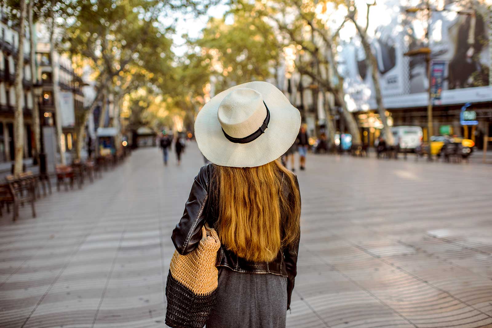 Person walking down a tree-lined boulevard.