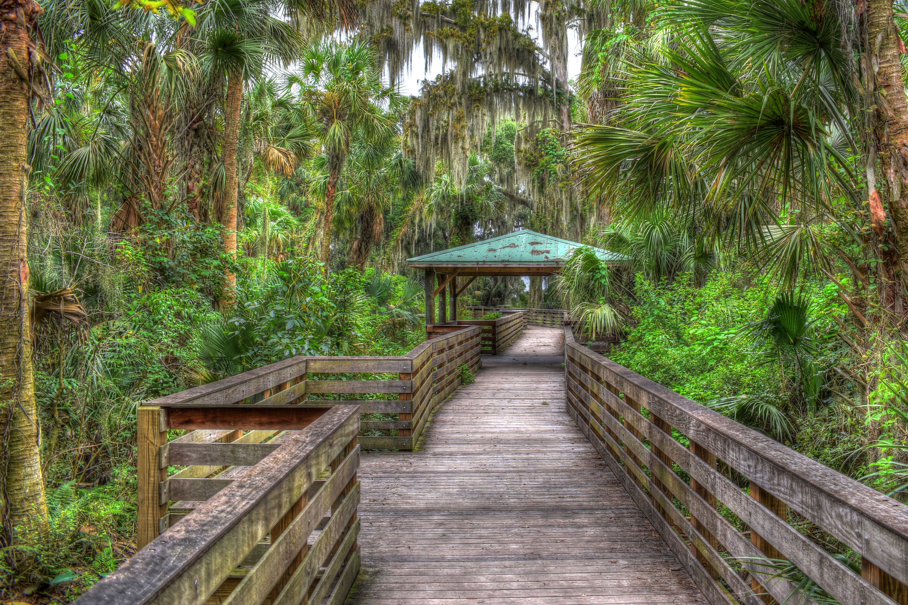 Wooden boardwalk winding through palm trees and greenery.