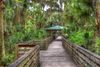 Wooden boardwalk winding through palm trees and greenery.