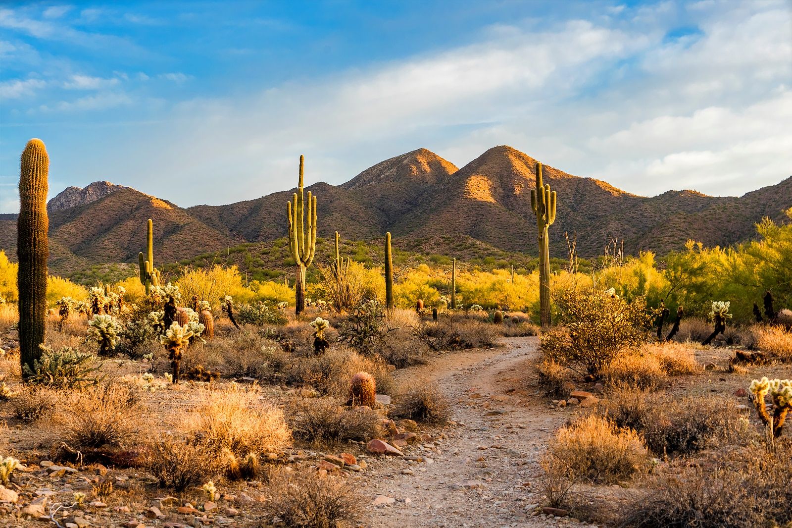 Best Things to Do in Scottsdale