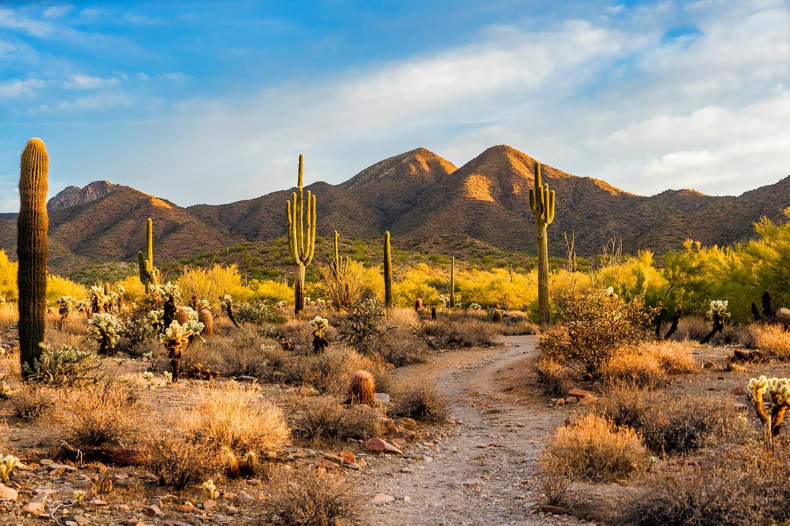 Best Things to Do in Scottsdale