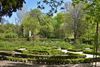 Real Jardín Botánico de Madrid