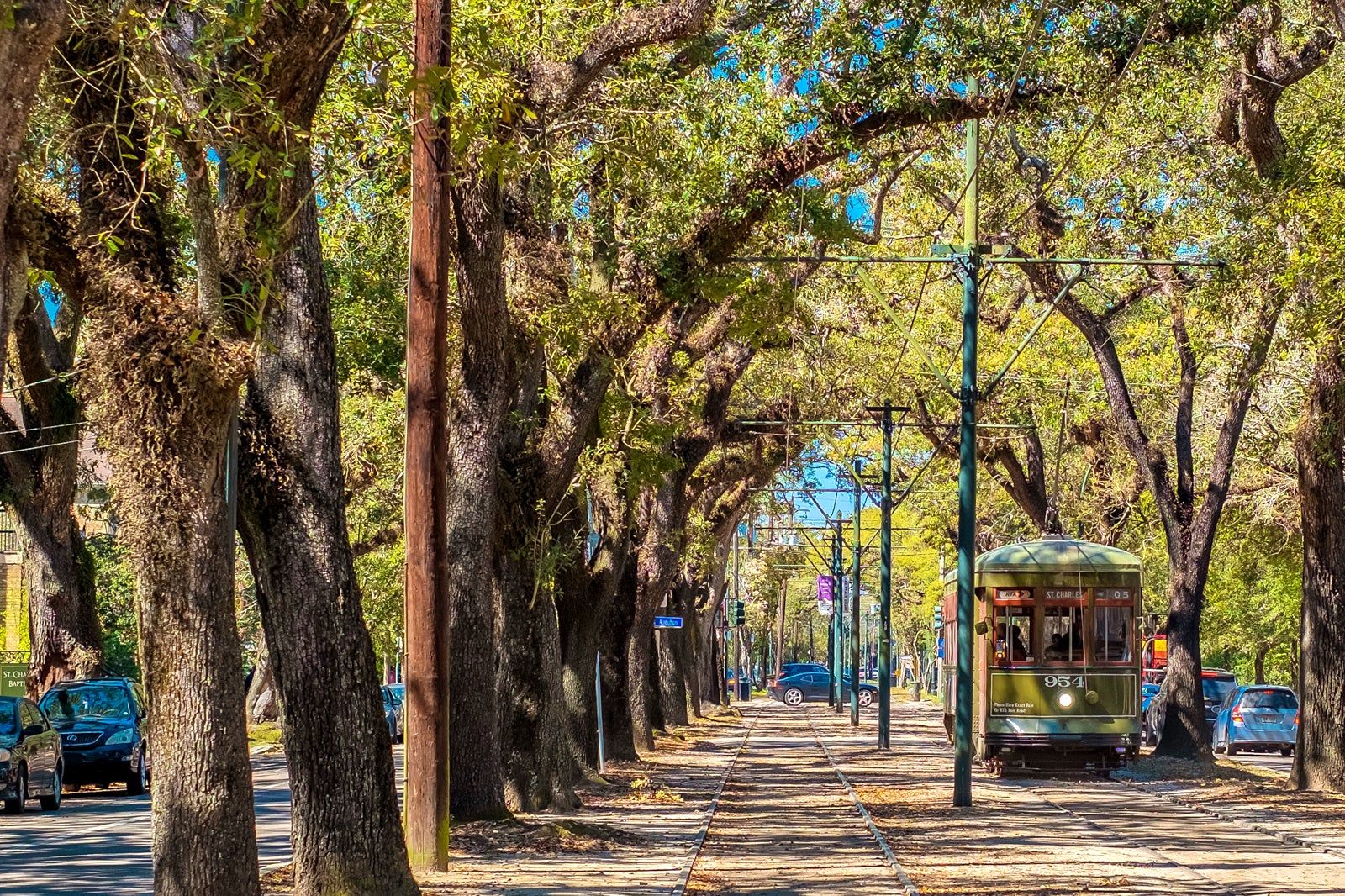 Oak Street in New Orleans