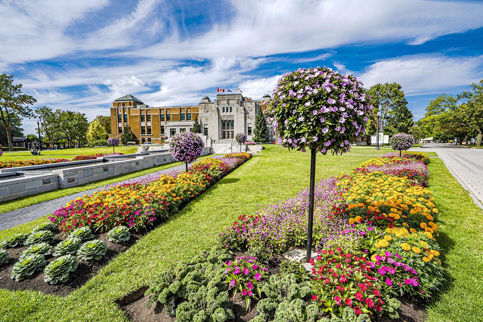 Things to Do in Montreal in the Summer