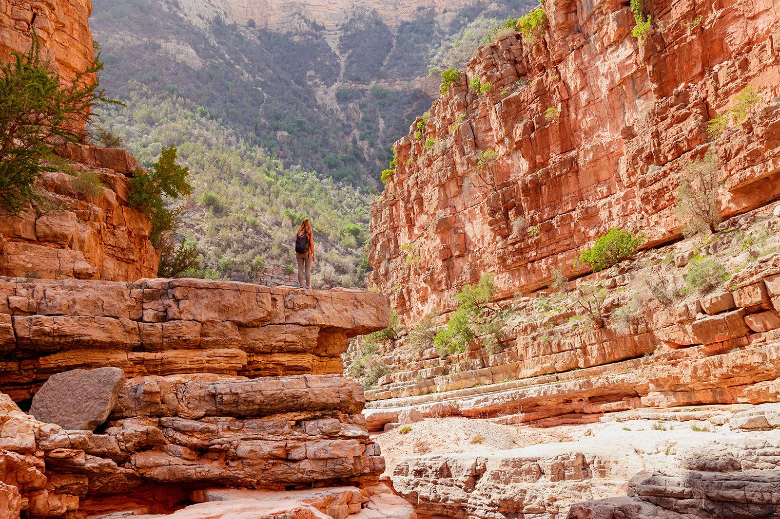 A woman tourist in a red rock canyon.