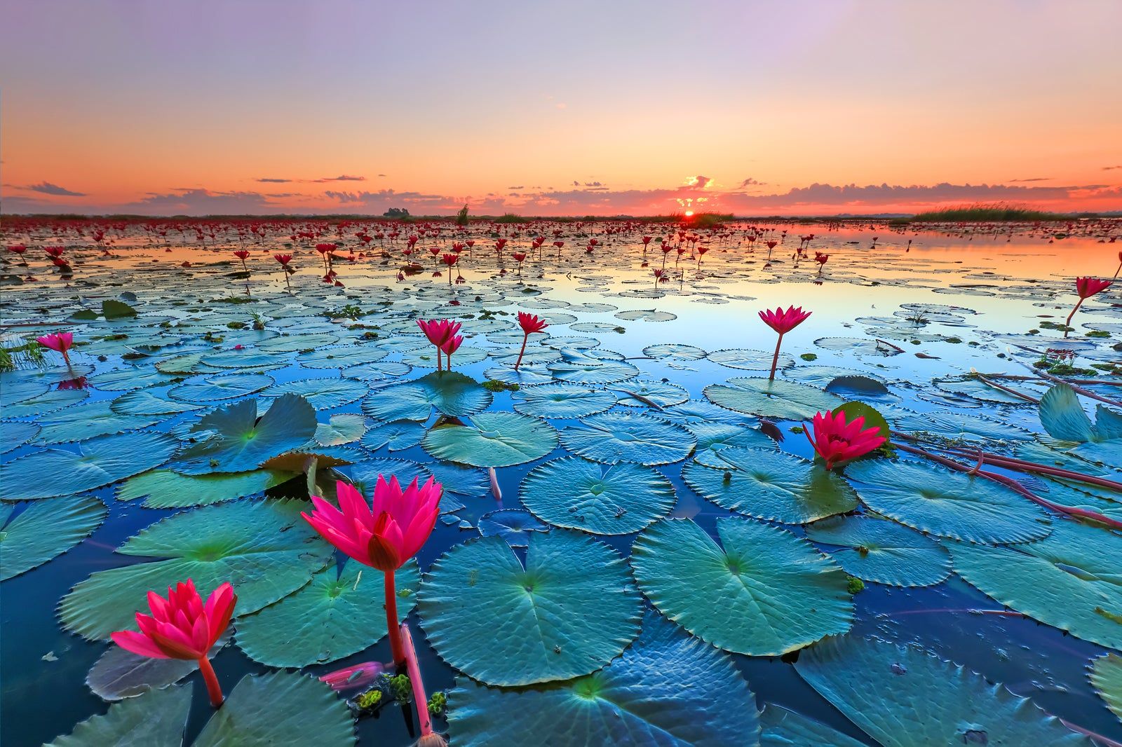 Udon Thani, Thailand