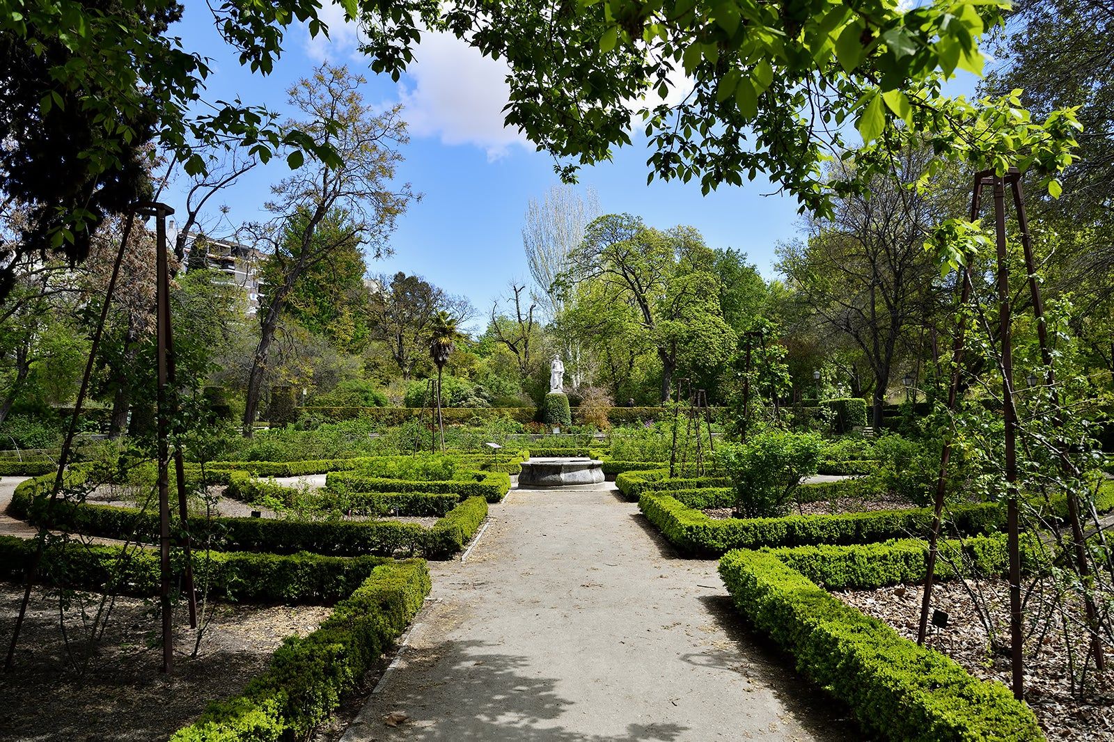 Real Jardín Botánico de Madrid