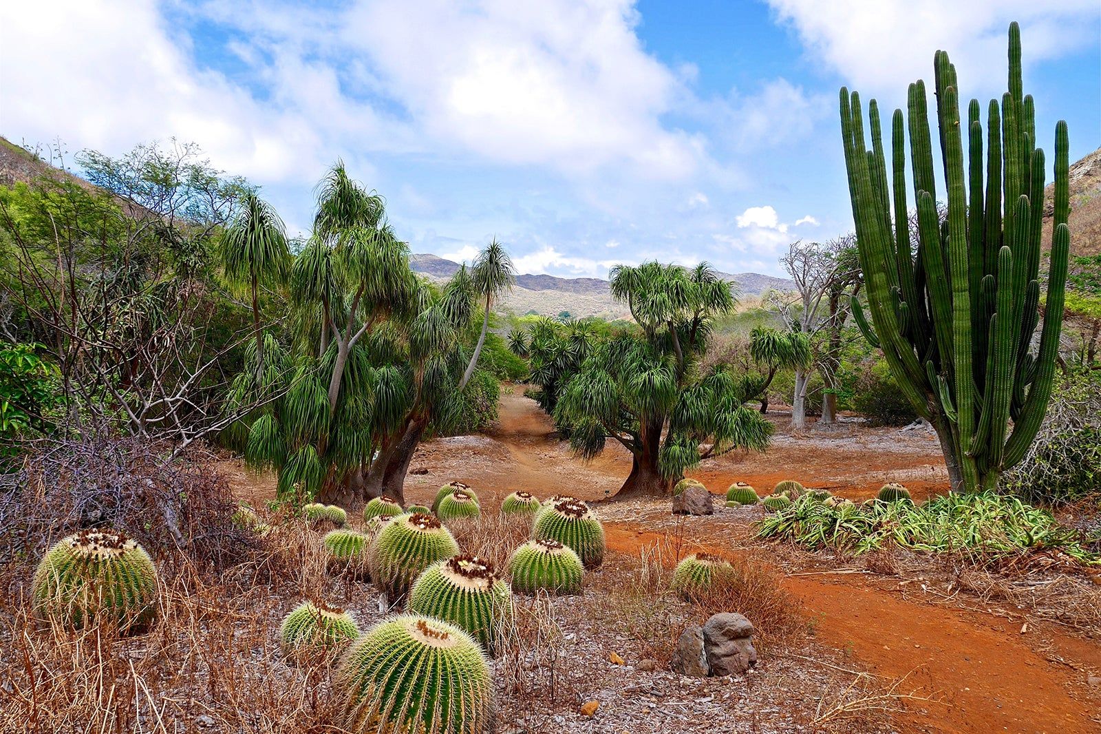 Koko Crater Botanical Gardens