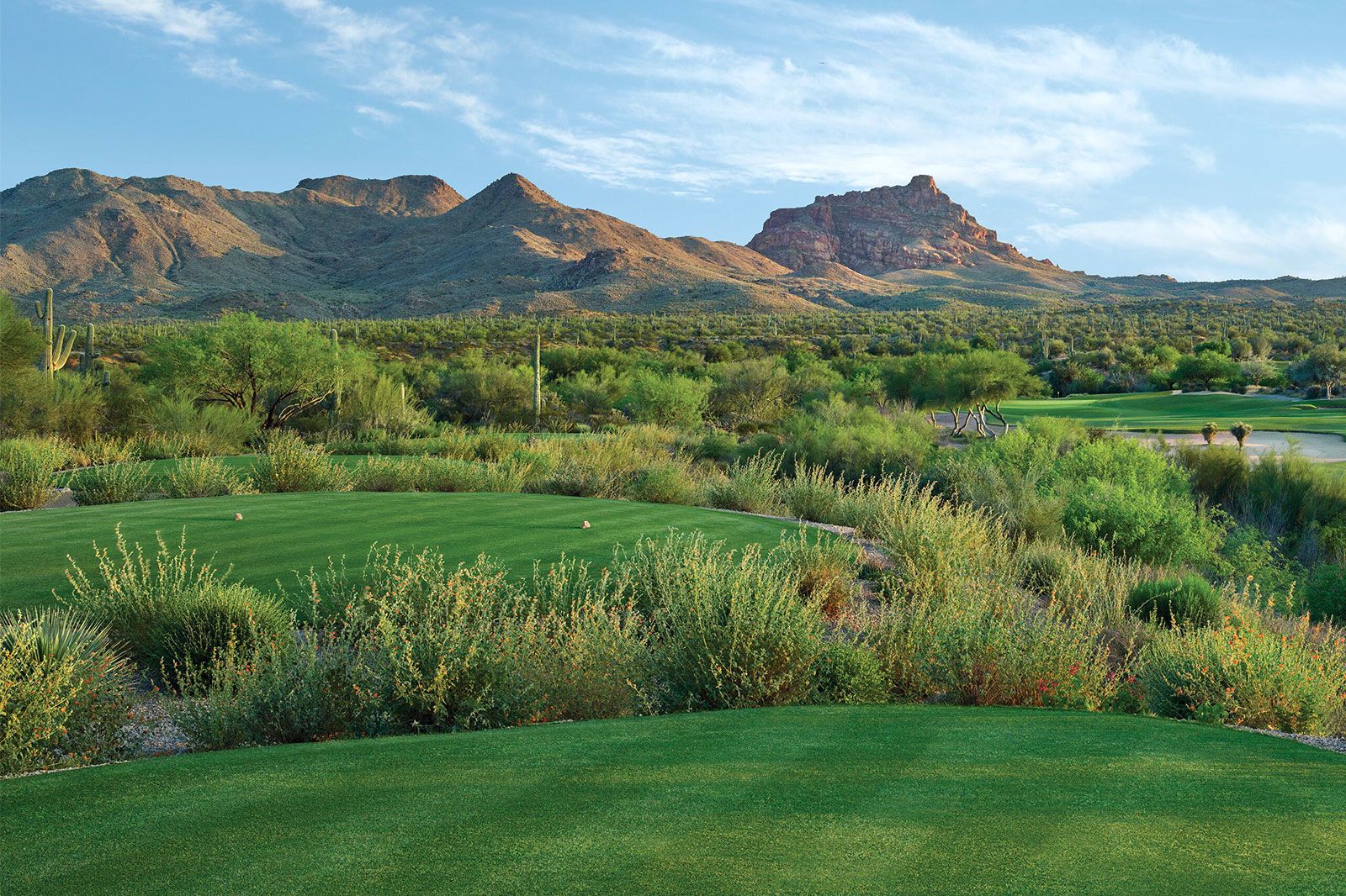 Smooth gold greens with mountains in the background.