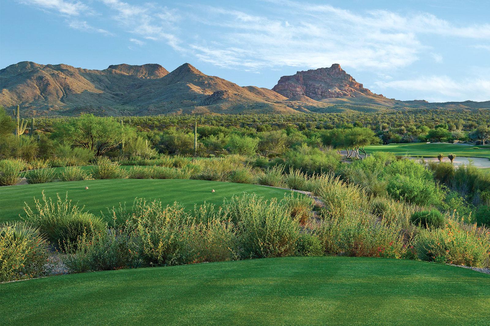 Smooth gold greens with mountains in the background.