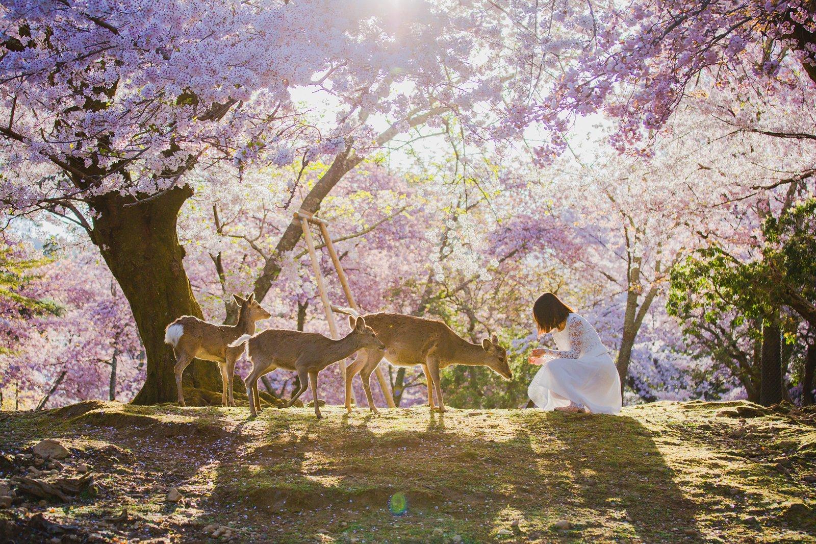 Nara