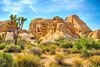 Joshua Tree National Park in San Diego