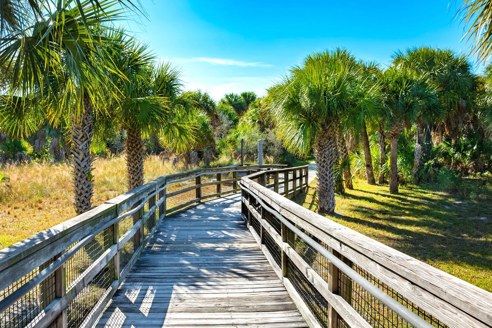 Caladesi Island State Park