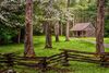 A wooden fence with a historic log cabin among the trees.