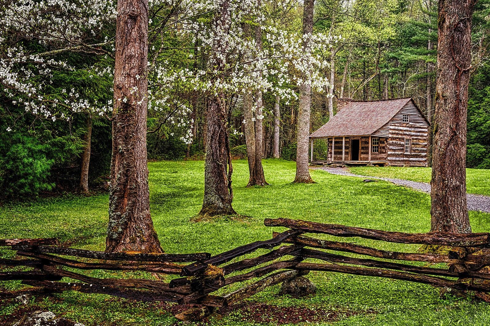 A wooden fence with a historic log cabin among the trees.