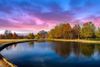 A pond in a park with autumn trees.