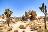 Joshua Tree National Park near Palm Springs, California