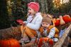 Children visiting a pumpkin farm.