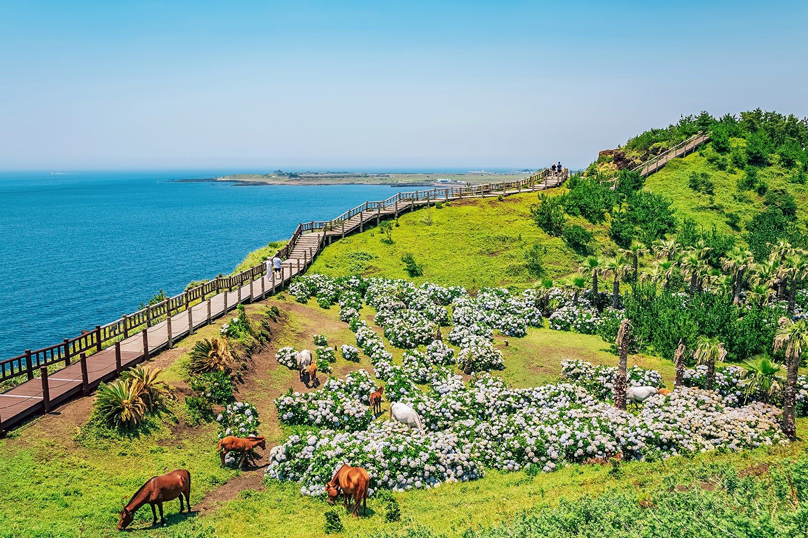 10 Things to Do in Seogwipo on a Small Budget