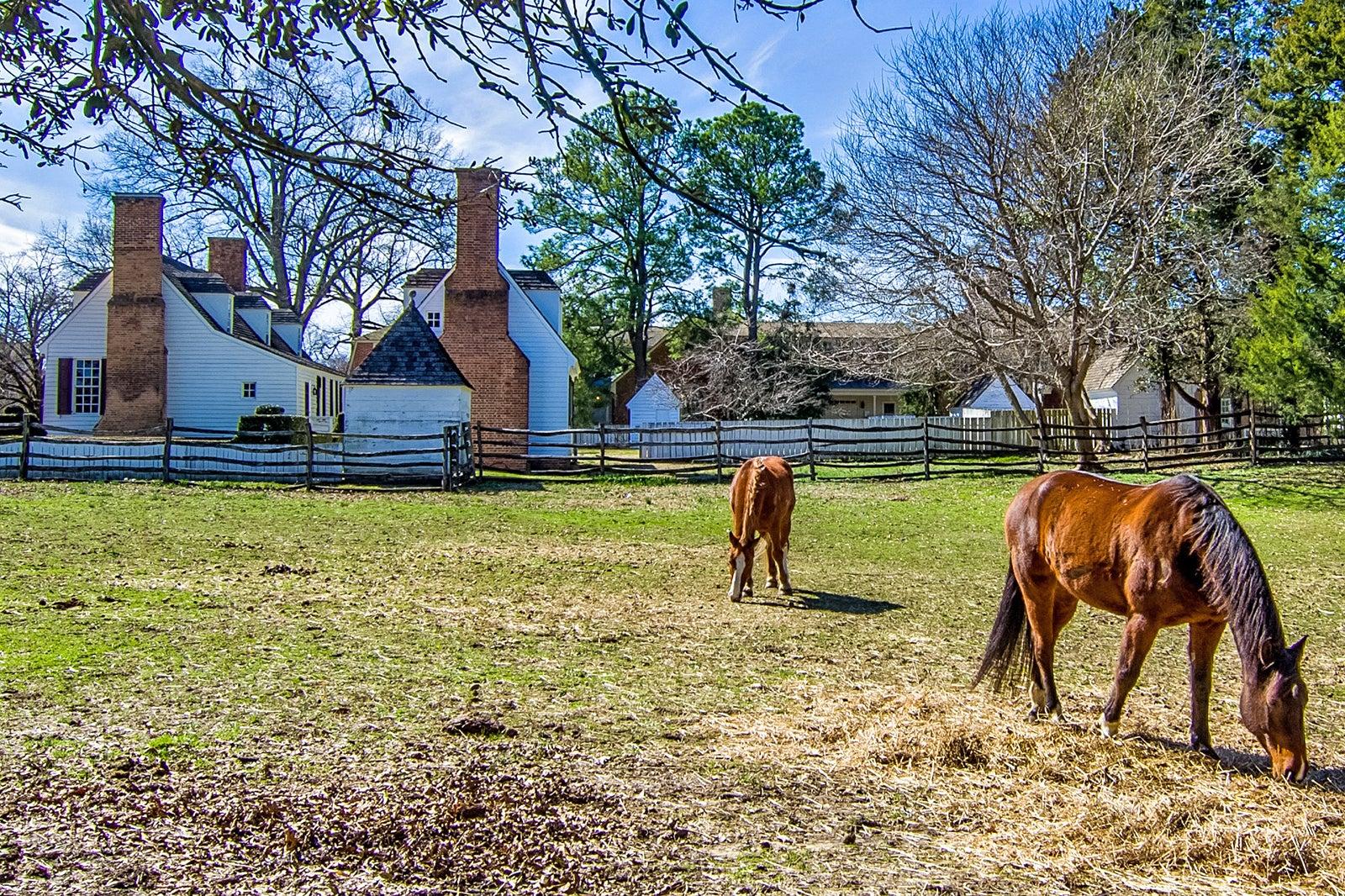 10 Best Things to Do in Williamsburg